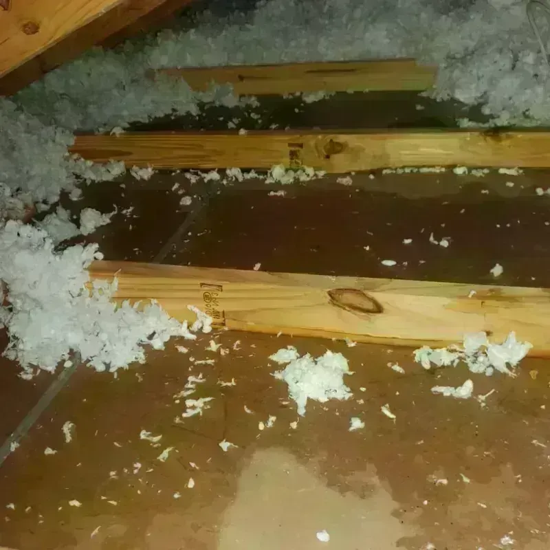 Attic Water Damage in Shackelford County, TX